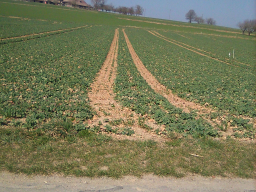 IMG-20220327-WA0001